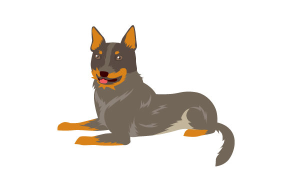 Australian Cattle Dog Breed