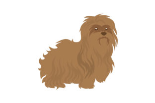 Brown Havanese Dog: A Thoughtful Embroidery Design Review