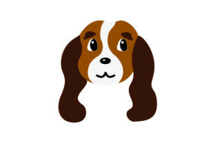 Cavalier King Charles Spaniel Dog