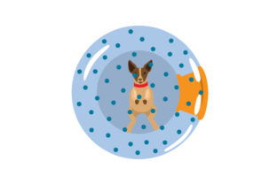 Dog in Zorbing Ball