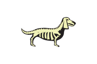 Dog Skeleton: A Sharp, Playful Halloween Embroidery Design
