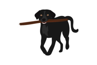 Dog with Branch in Mouth