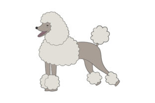 Poodle Dog: A Designer’s Real-World Embroidery Review